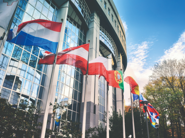 Membership - international representation Membership - international representation